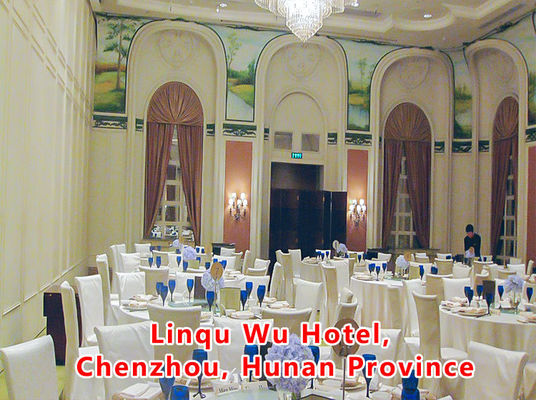 良い価格 Aluminum Wooden Movable Partition Wall with 304 Stainless Steel Rollers and 6061-T6 Profile for Office Room オンライン