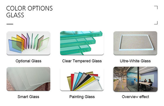 良い価格 Top Supported Modern Aesthetics Office Glass Partition Wall with Space Optimization オンライン